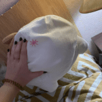 Kawaii Cute Shiba Inu Pillow photo review