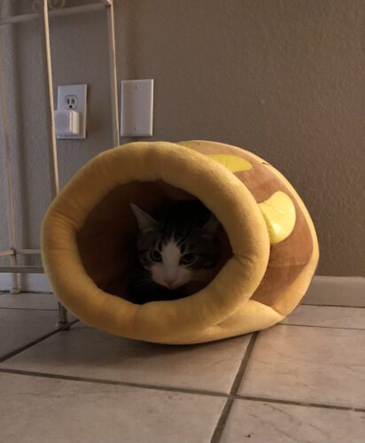 Kawaii Honeypot Cat House With Removable Plush Mat photo review
