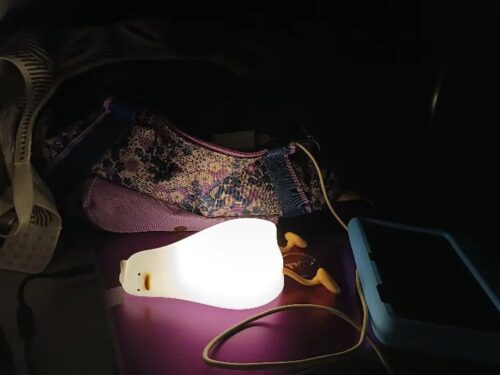 Kawaii Lying Duck Night Light photo review