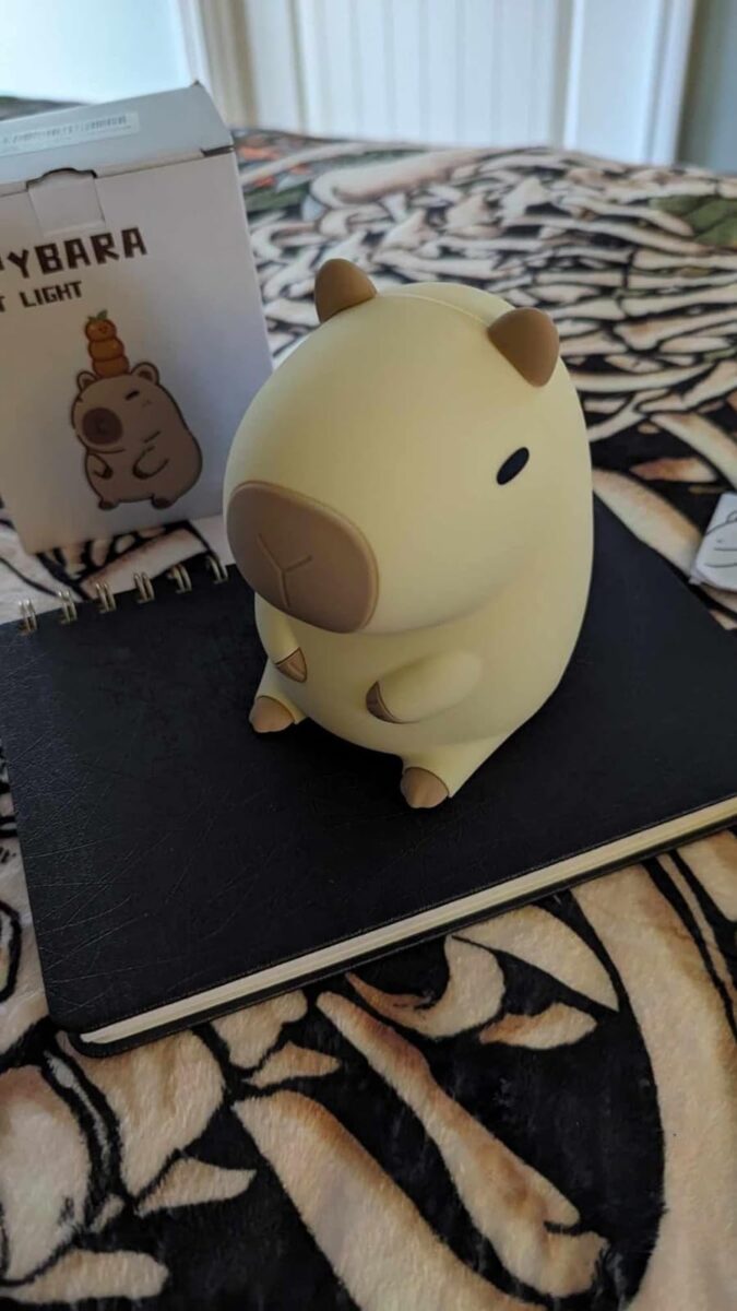 Kawaii Capybara Night Light photo review