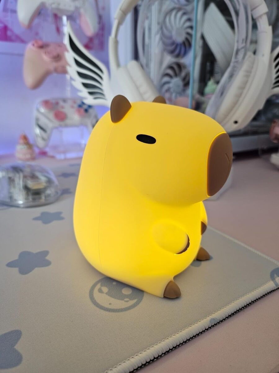 Kawaii Capybara Night Light photo review