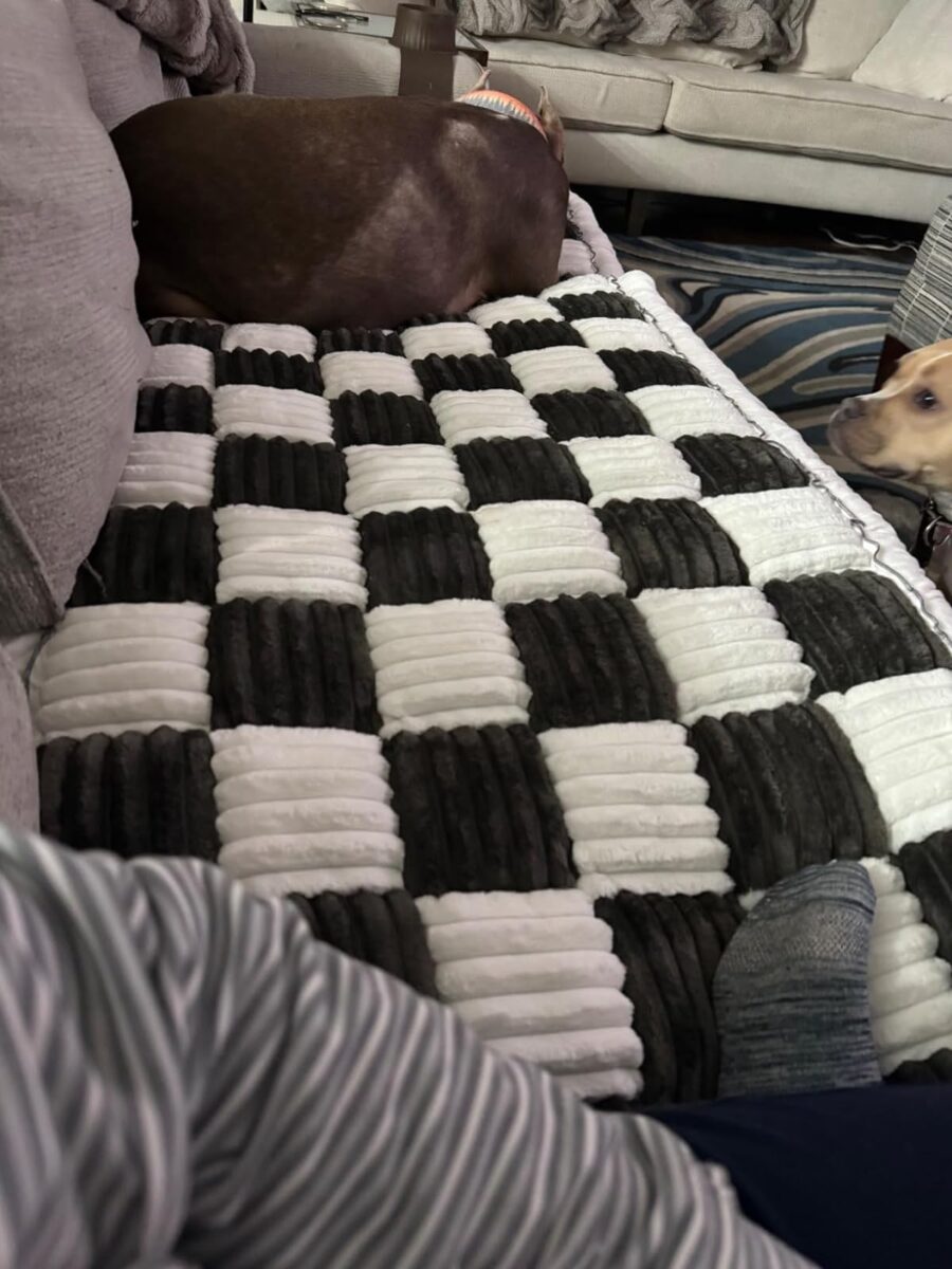 Thick Plaid Pet Mat photo review