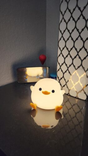 Kawaii DODO Duck Silicone Lamp photo review
