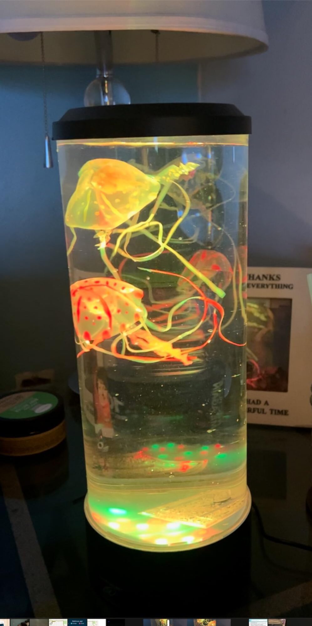 Jellyfish Ocean Dream Lamp photo review