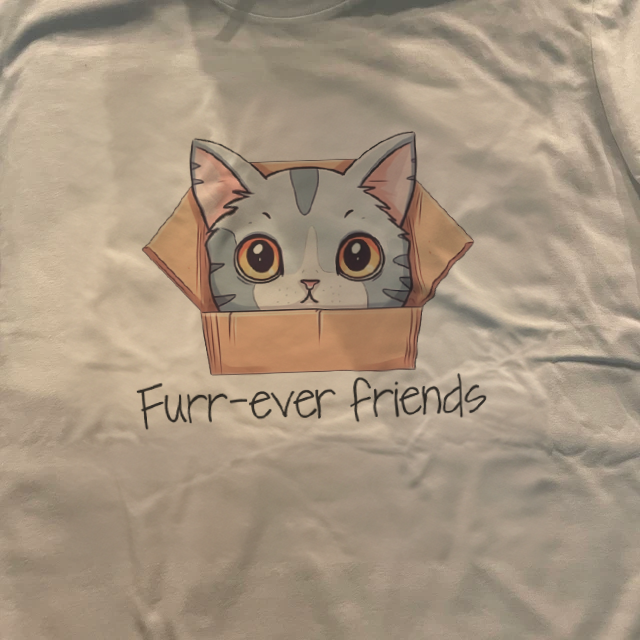 Kawaii Furr-ever friends Men’s garment-dyed heavyweight t-shirt photo review