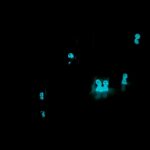 KODAMA Glow in the Dark Tree Spirits photo review