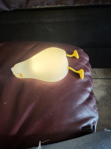 Kawaii Lying Duck Night Light photo review