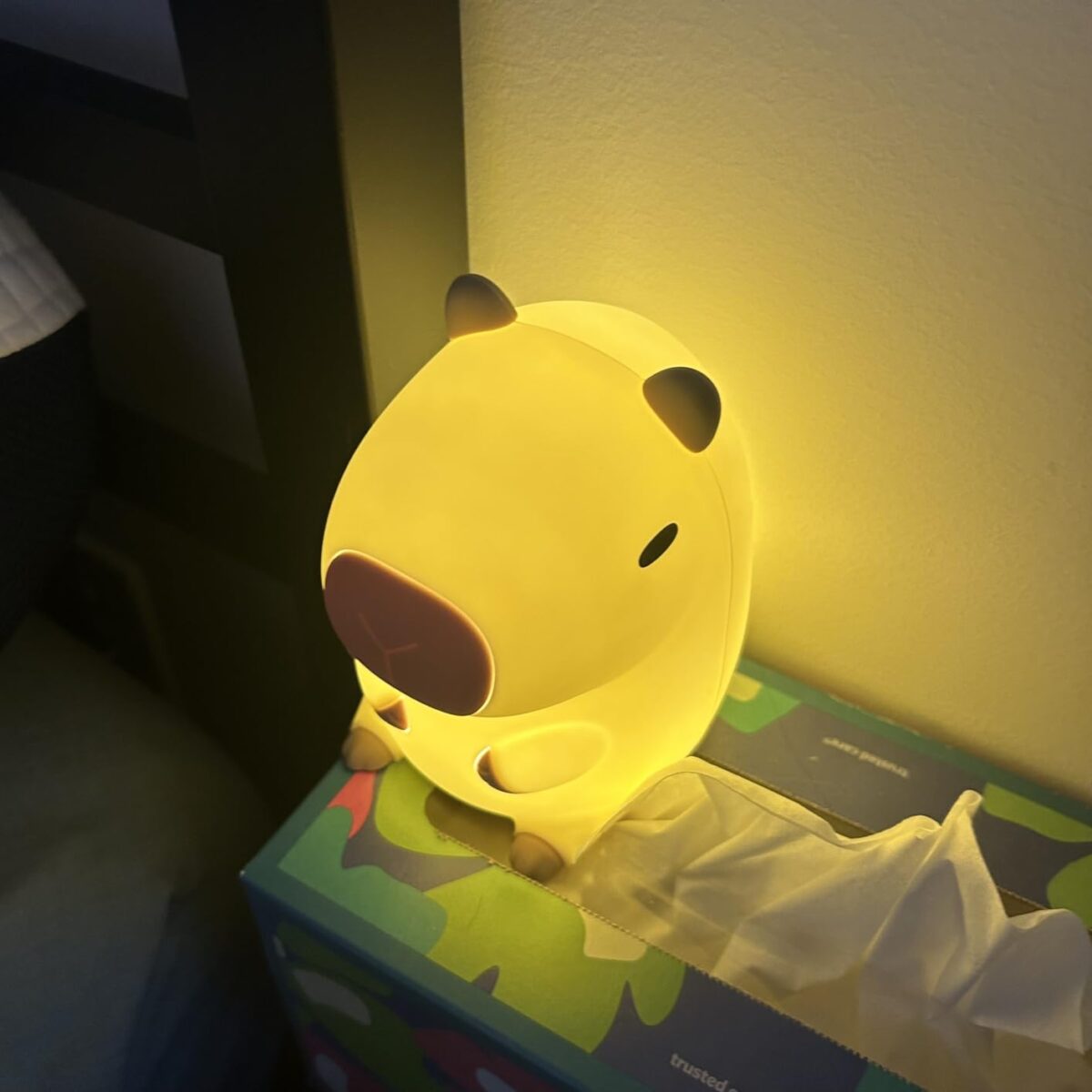 Kawaii Capybara Night Light photo review