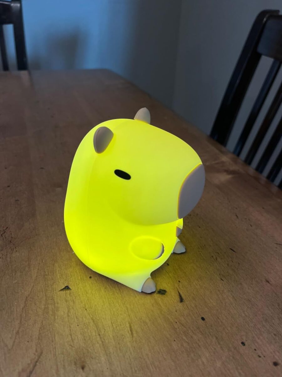 Kawaii Capybara Night Light photo review