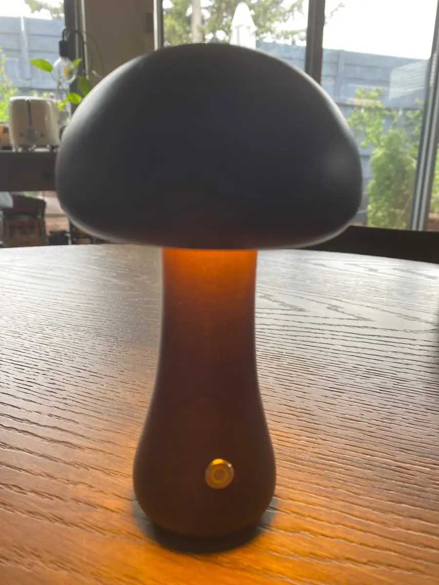 Mushroom Table Lamp, Night Light Wooden Texture photo review