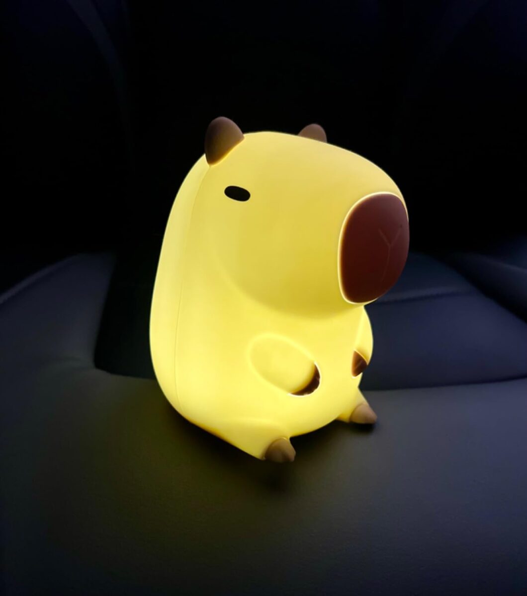 Kawaii Capybara Night Light photo review