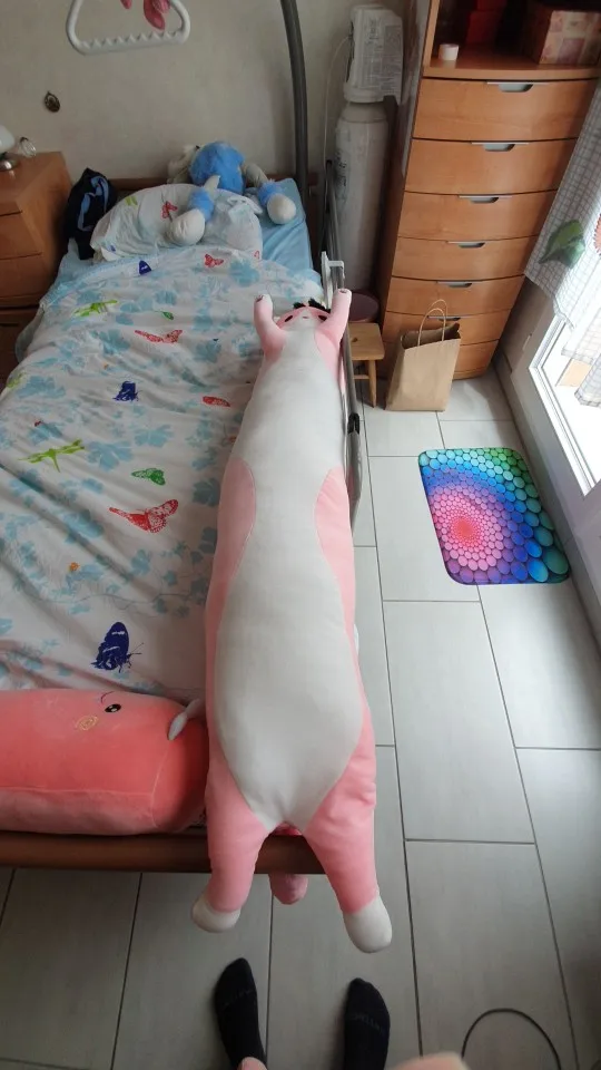 Kawaii Long Cat Plush Pillow photo review