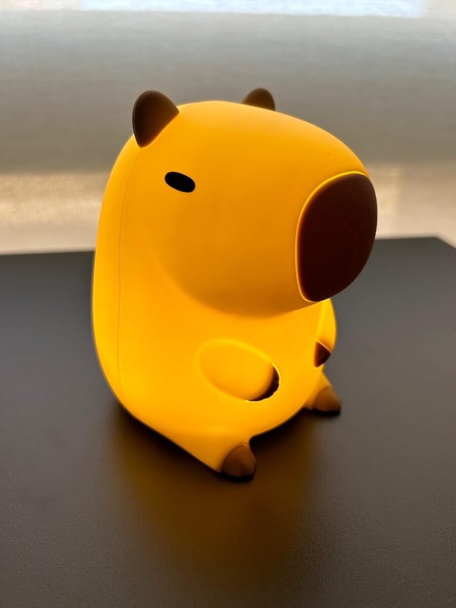 Kawaii Capybara Night Light photo review