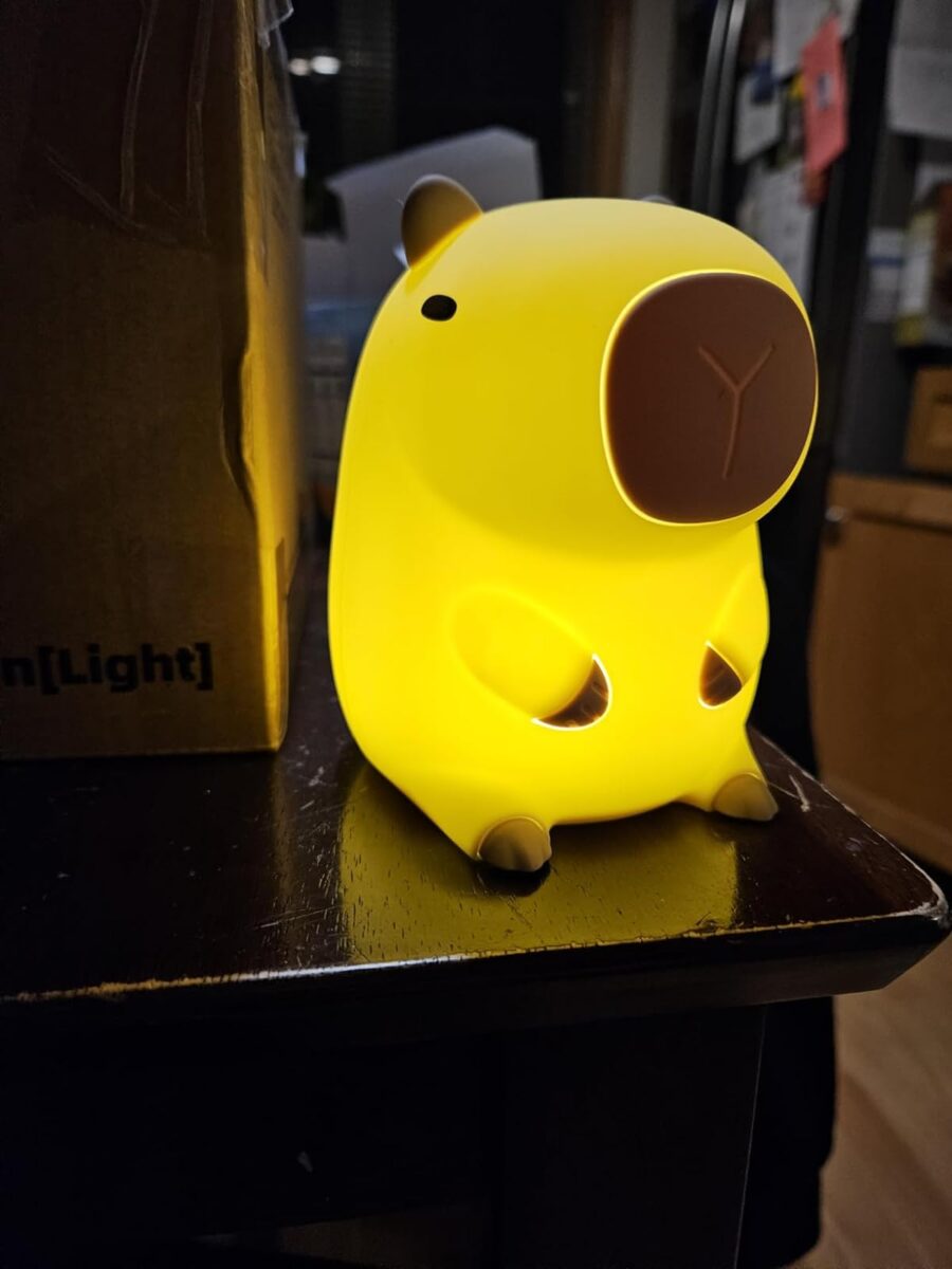 Kawaii Capybara Night Light photo review