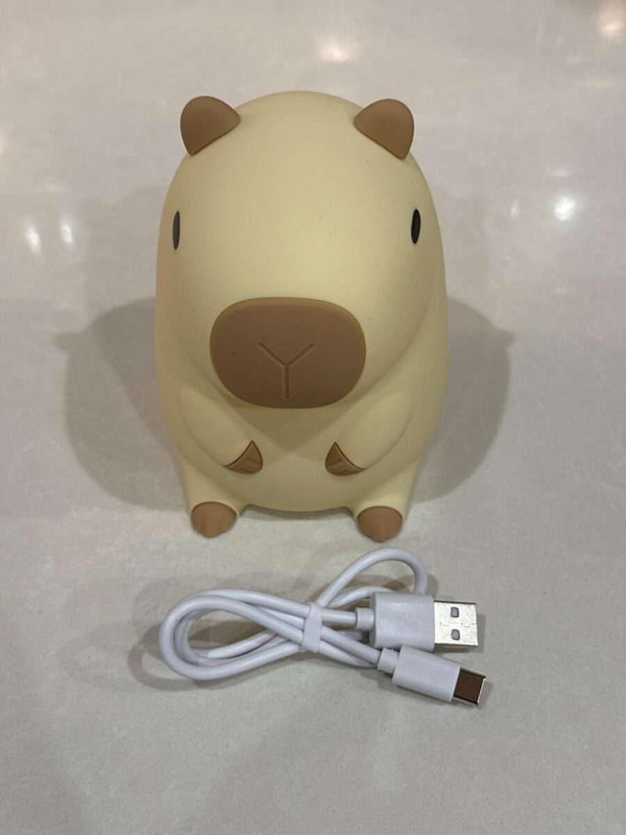 Kawaii Capybara Night Light photo review