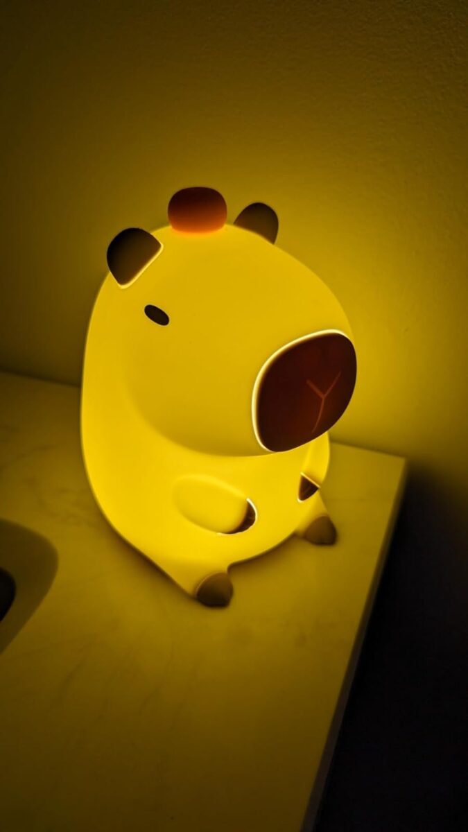 Kawaii Capybara Night Light photo review