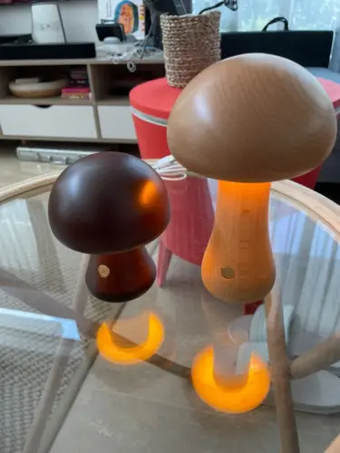 Mushroom Table Lamp, Night Light Wooden Texture photo review