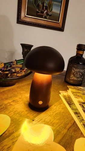 Mushroom Table Lamp, Night Light Wooden Texture photo review