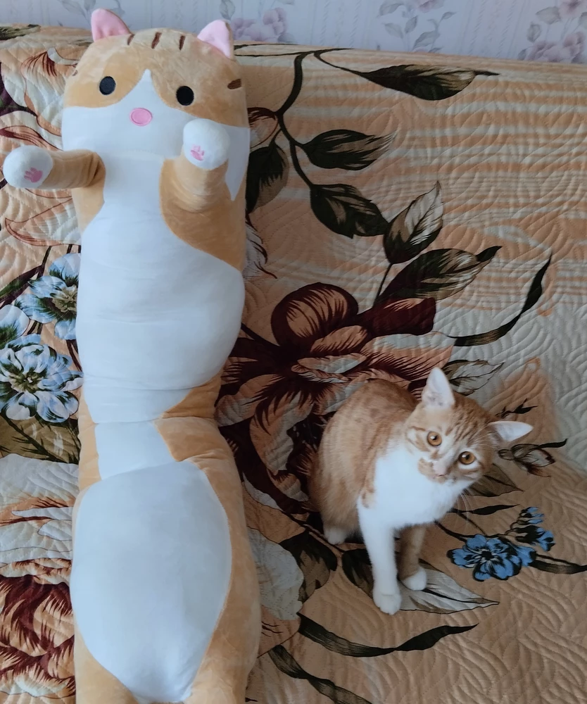 Kawaii Long Cat Plush Pillow photo review