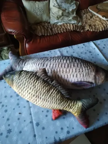 Pillow-Fish Plushie photo review