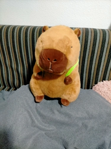 Kawaii Capybara With Backpack Plush Toy photo review