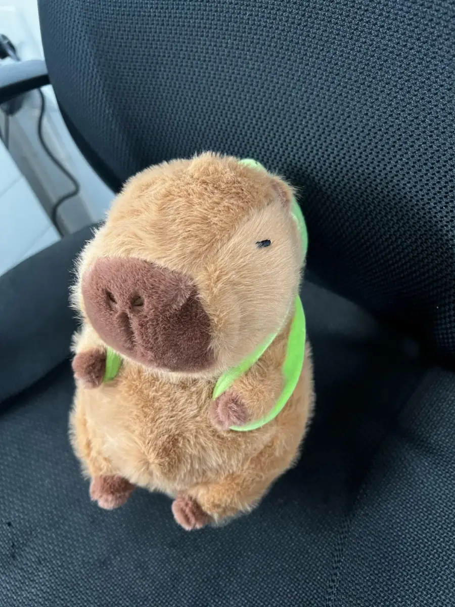 Kawaii Capybara With Backpack Plush Toy photo review