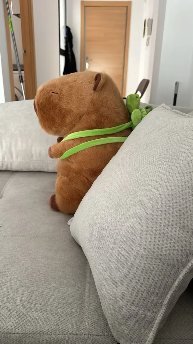 Kawaii Capybara With Backpack Plush Toy photo review