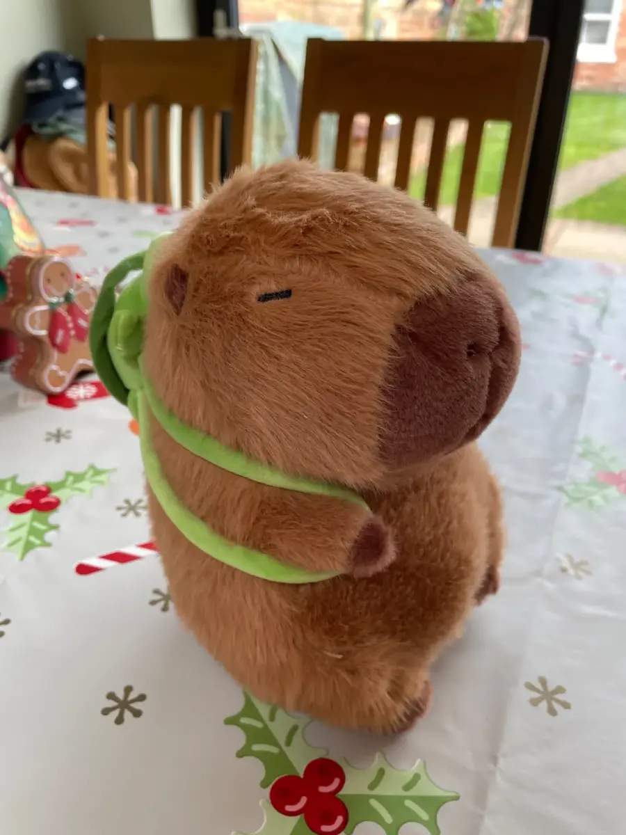 Kawaii Capybara With Backpack Plush Toy photo review