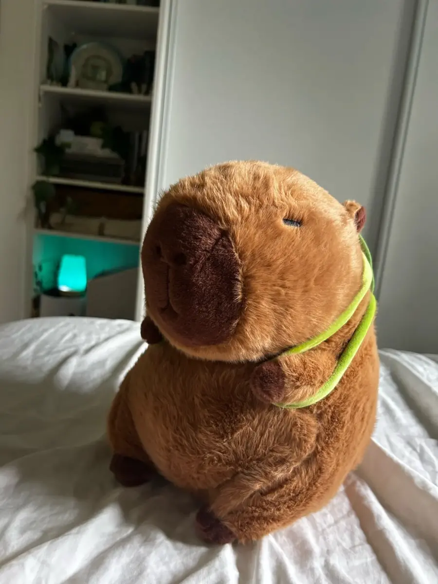 Kawaii Capybara With Backpack Plush Toy photo review