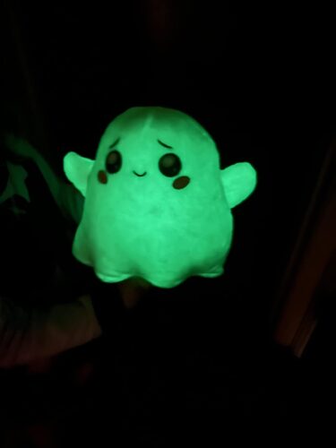 Kawaii Glow in the Dark Ghosty Plush Toy photo review