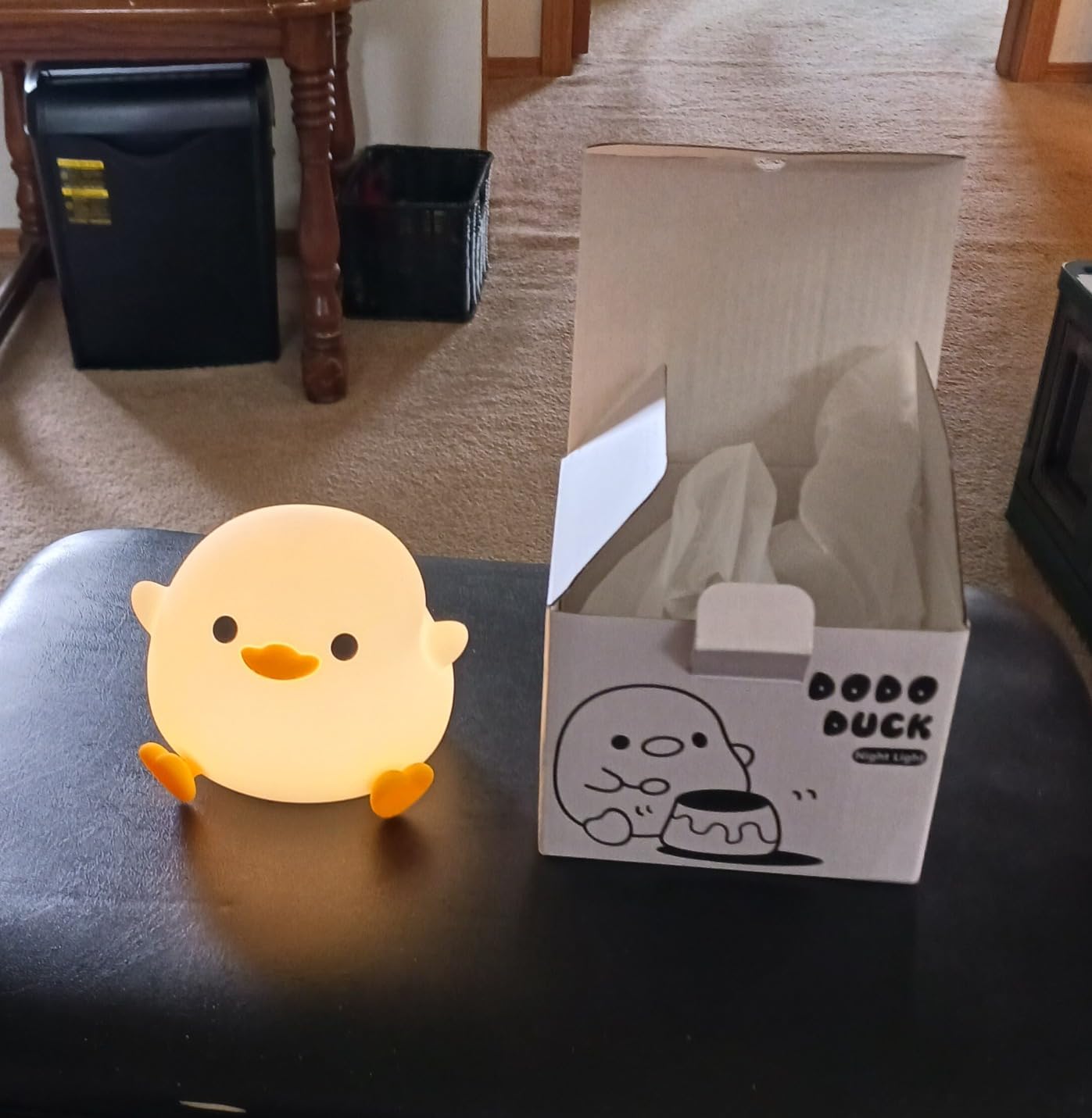 Kawaii DODO Duck Silicone Lamp photo review