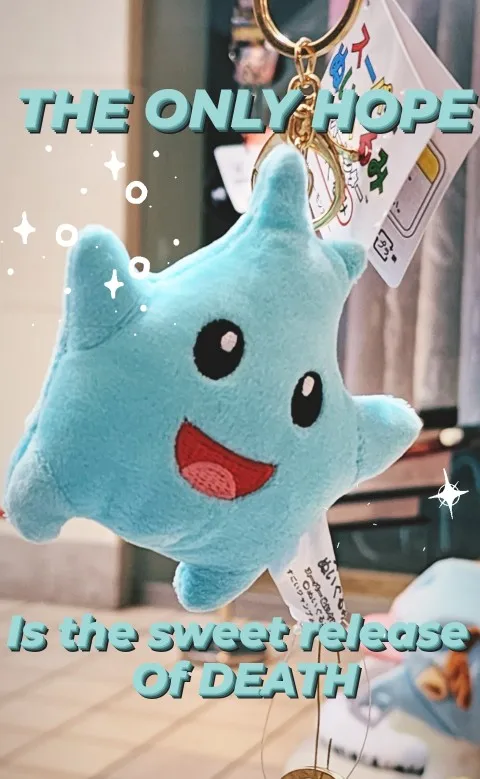 Glow in the Dark Plush Lumalee Star photo review