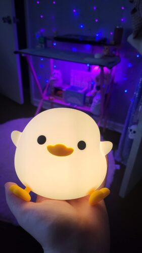 Kawaii DODO Duck Silicone Lamp photo review