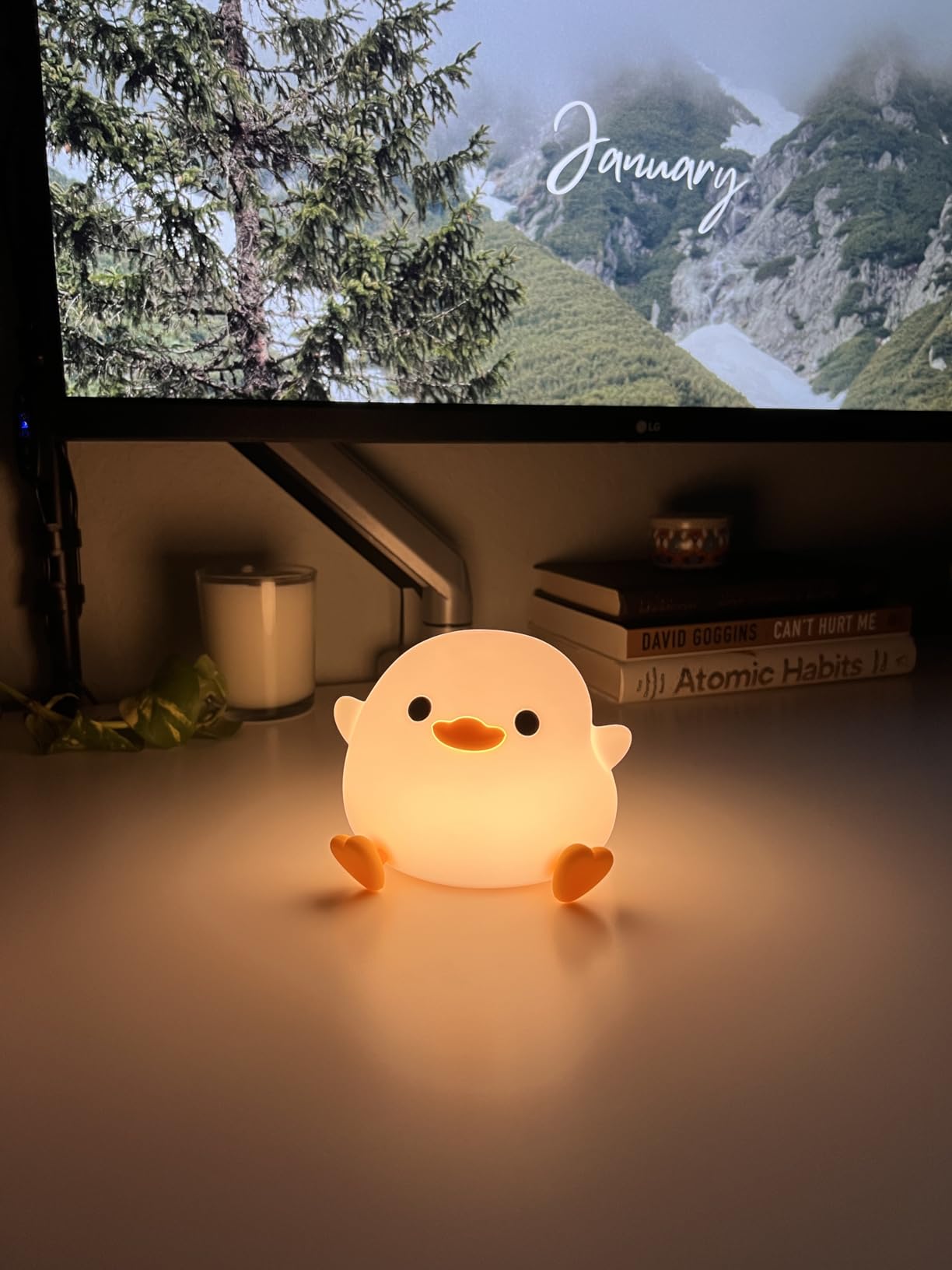 Kawaii DODO Duck Silicone Lamp photo review