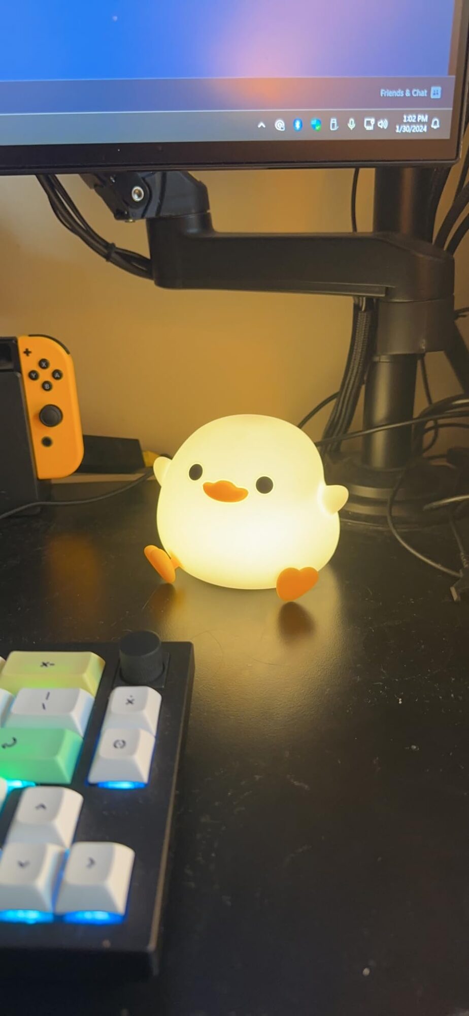 Kawaii DODO Duck Silicone Lamp photo review