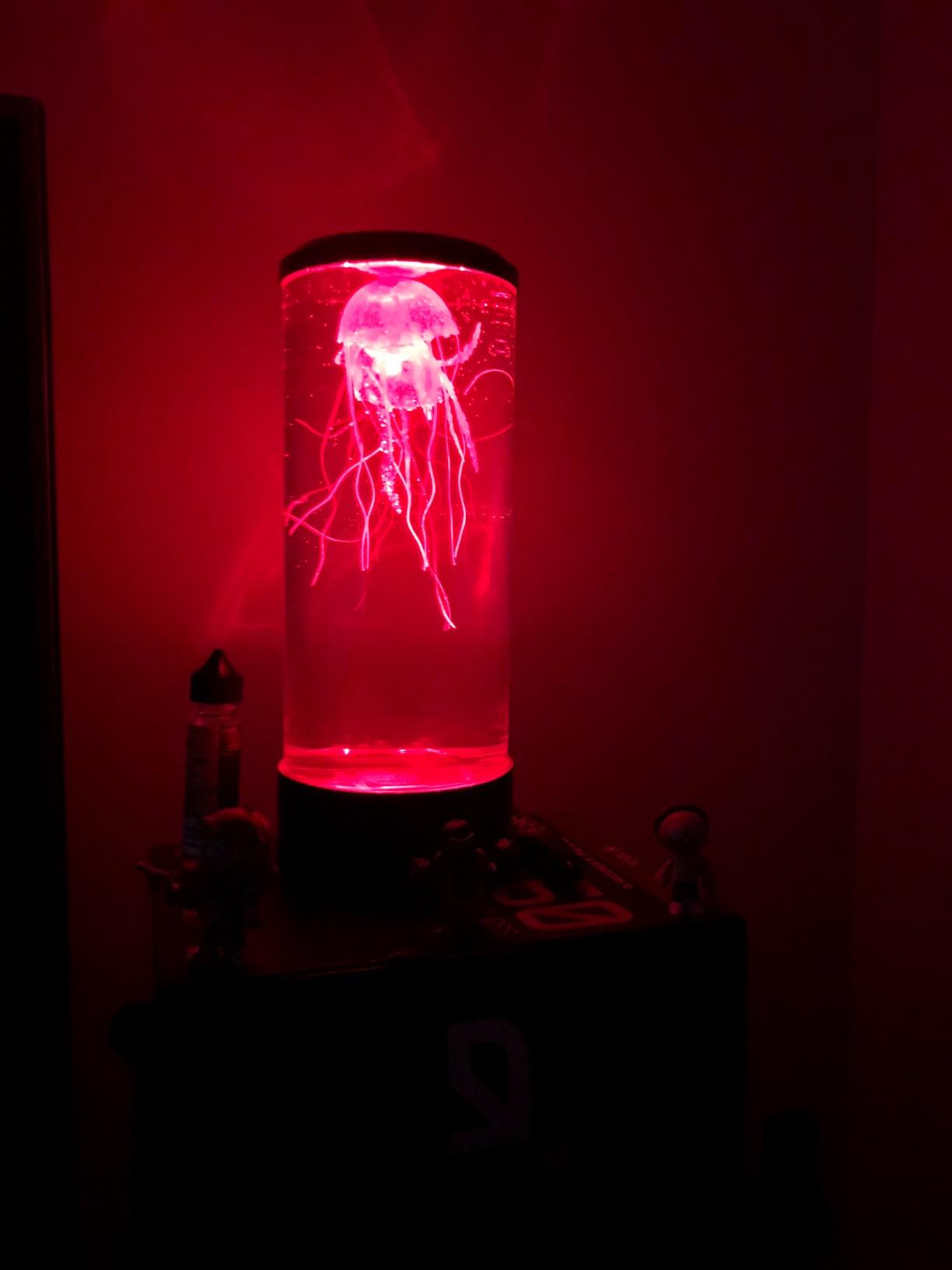 Jellyfish Ocean Dream Lamp photo review