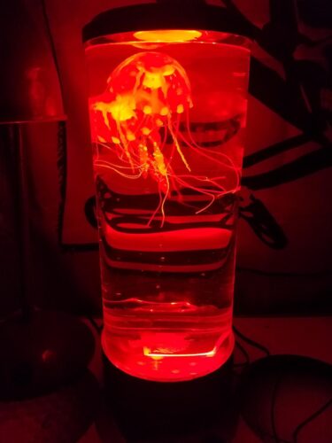 Jellyfish Ocean Dream Lamp photo review