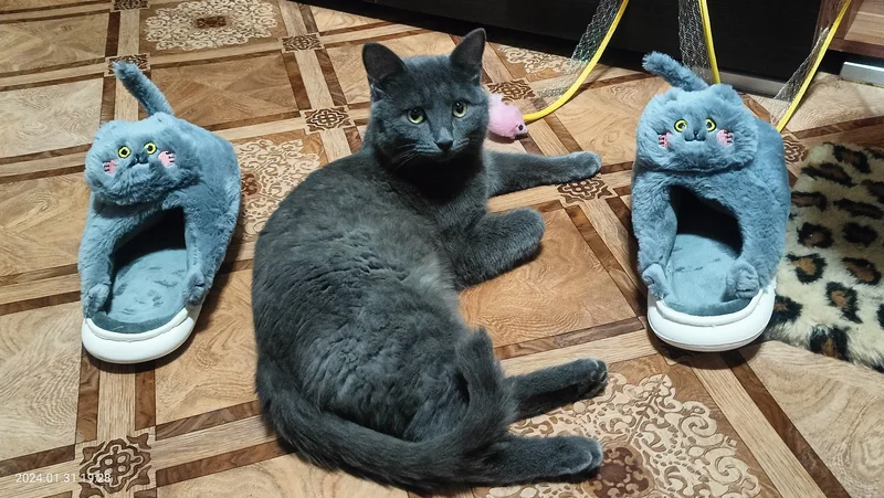 Kawaii Cat with Tail Plush Slippers photo review