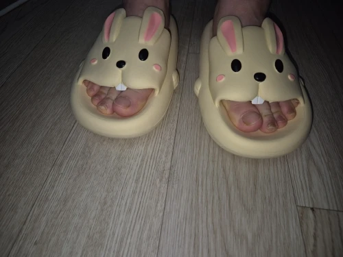 Cute Cartoon Rabbit Slippers photo review