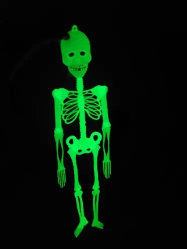 Glow in the Dark Hanging Skeleton photo review