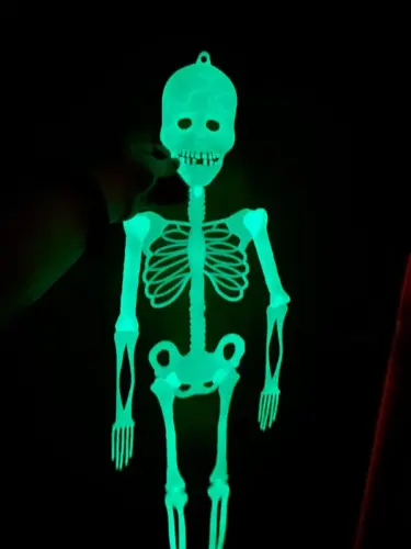 Glow in the Dark Hanging Skeleton photo review