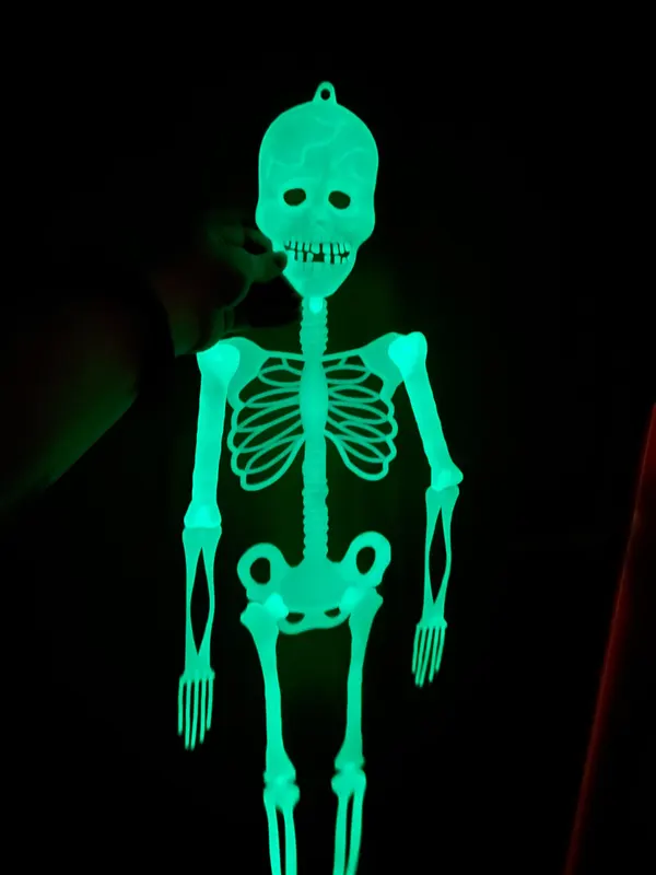 Glow in the Dark Hanging Skeleton photo review