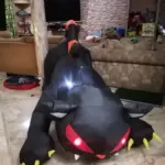 1.8m Inflatable Black Cat Halloween Decoration with Shaking Head and LED Ghost Lights photo review