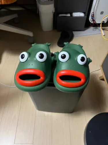 Kawaii Big Eyed Frog Slippers photo review