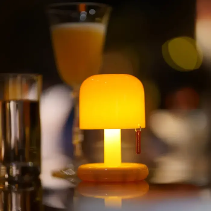 Rechargeable Mini Mushroom Lamp