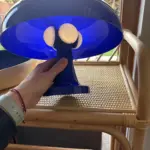 Wide Cap Mushroom Table Lamp photo review