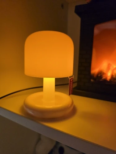 Rechargeable Mini Mushroom Lamp photo review