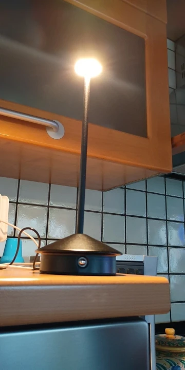Big Base Small Cap Rechargeable Mushroom Table Lamp photo review