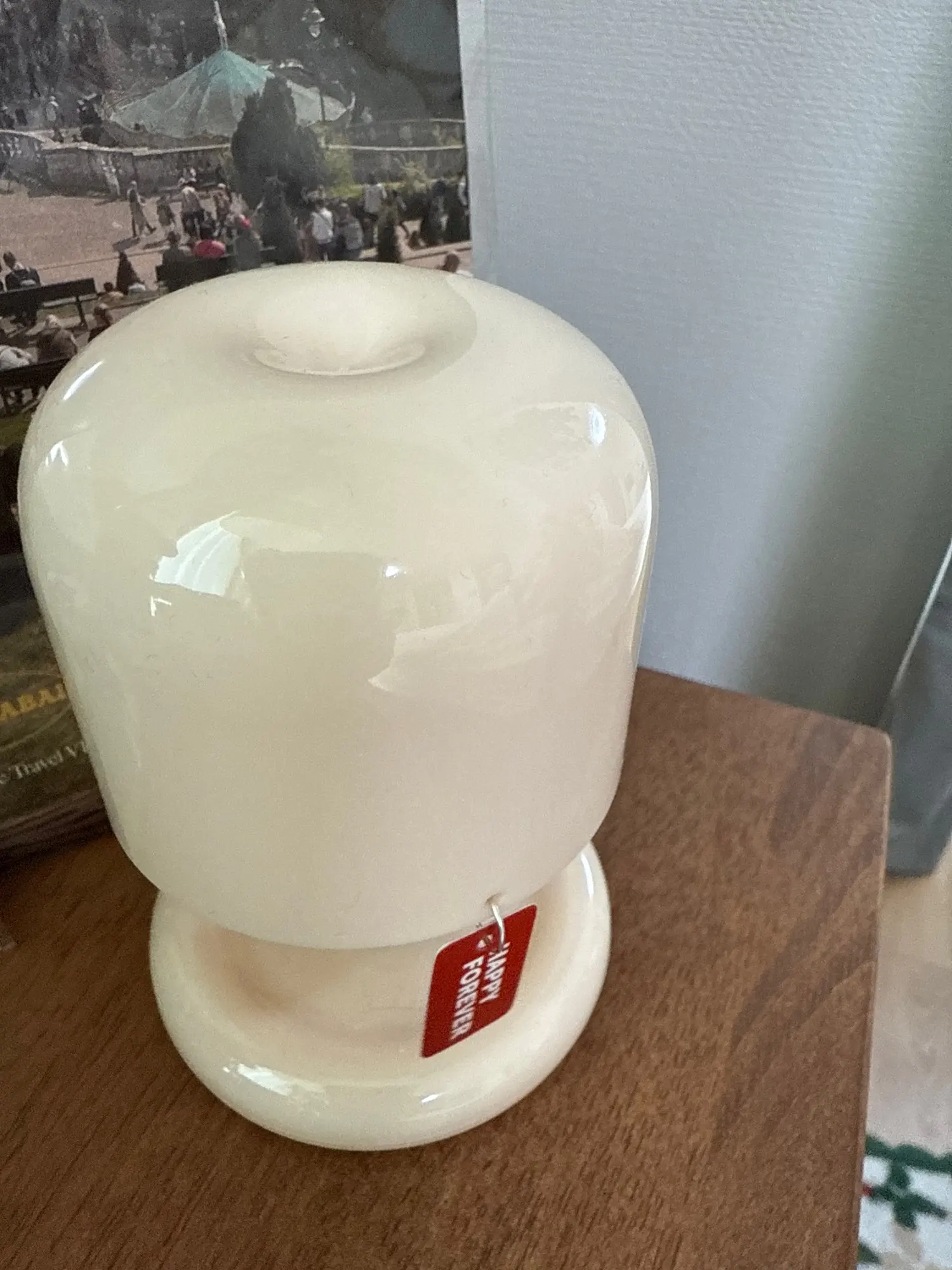 Rechargeable Mini Mushroom Lamp photo review