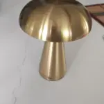 Metallic Style Rechargeable Mushroom Lamp photo review